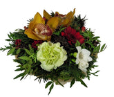 Screenshot_20211028-132557_Gallery-1