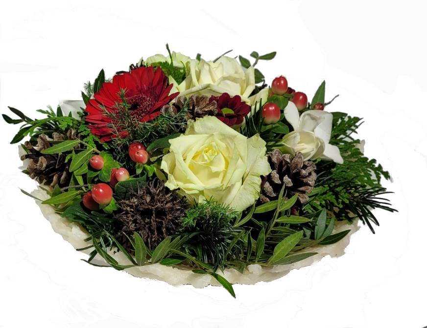 Screenshot_20211028-132716_Gallery-1