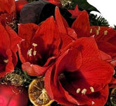 Screenshot_20211028-132944_Gallery-1-1