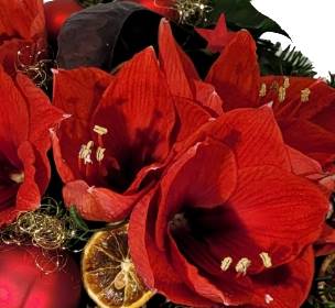 Screenshot_20211028-132944_Gallery-1-1