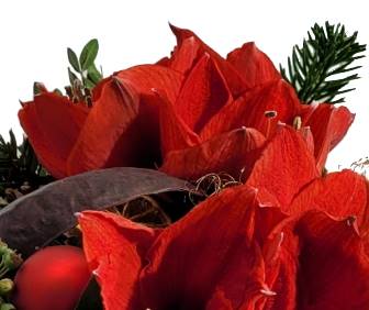 Screenshot_20211028-133503_Gallery-1-1