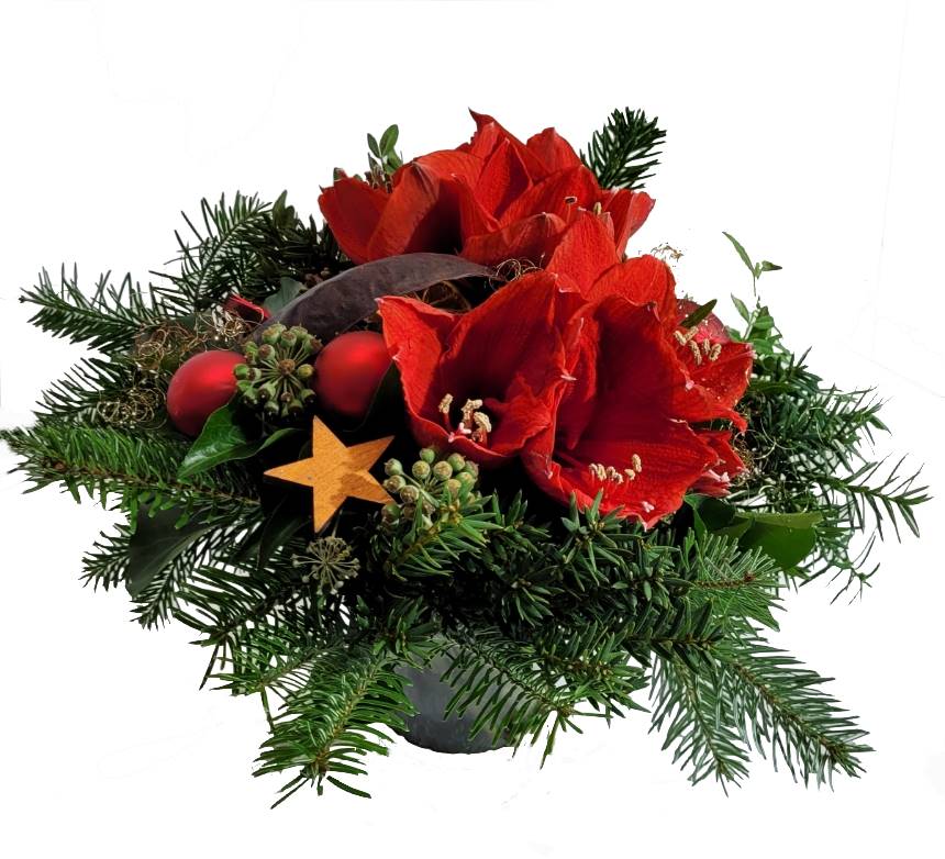 Screenshot_20211028-133503_Gallery-1