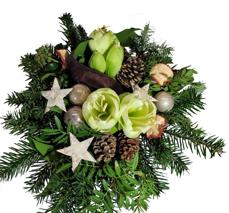 Screenshot_20211029-213145_Gallery-1-Kopie