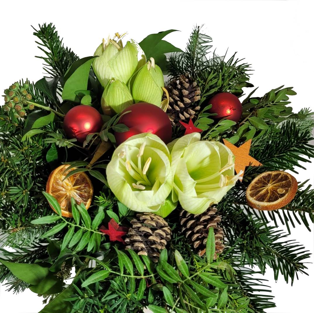 Blumenstrauß Advent Weihnachten | AMARYLLIS | TANNE