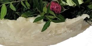 Screenshot_20211029-213536_Gallery-1-1