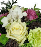 Screenshot_20211029-213541_Gallery-1-1