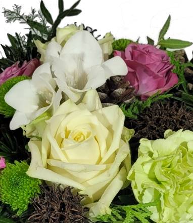 Screenshot_20211029-213541_Gallery-1-1