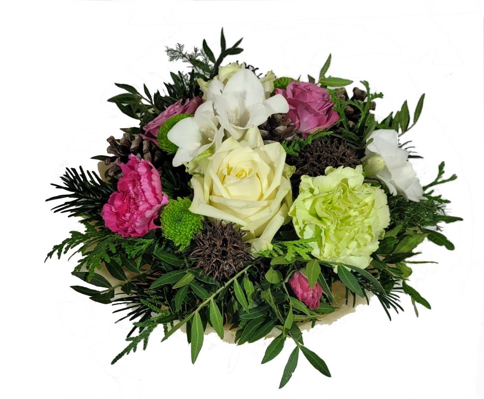 Screenshot_20211029-213541_Gallery-1