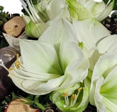 Screenshot_20211101-101149_Gallery-1-1