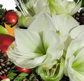 Screenshot_20211101-101149_Gallery-1-11