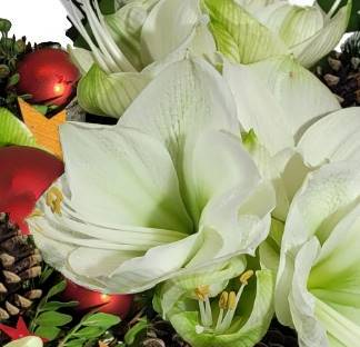 Screenshot_20211101-101149_Gallery-1-11