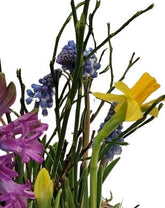 Screenshot_20220120-122818_Gallery-1-1