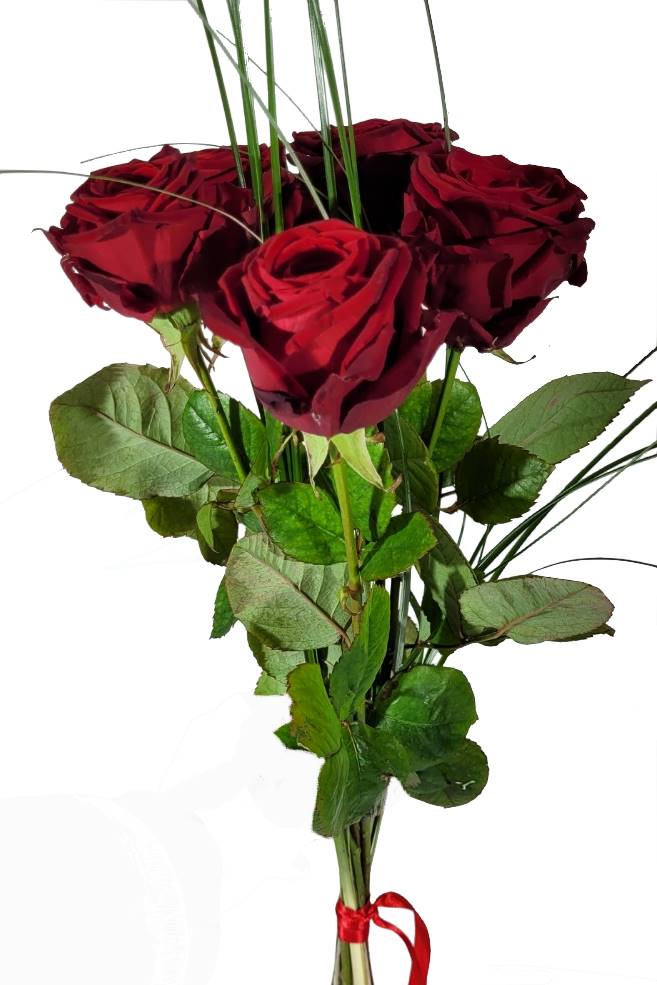 Screenshot_20220127-112325_Gallery-1