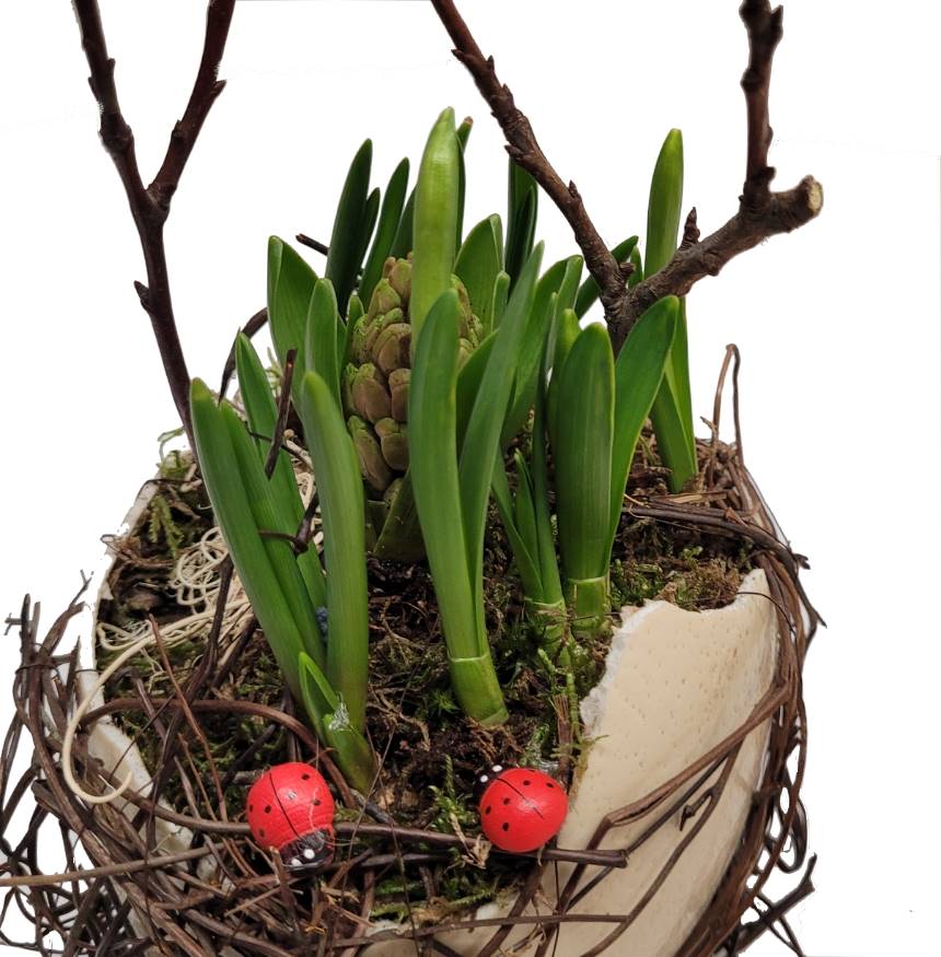 Screenshot_20220127-131356_Gallery-1