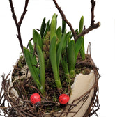 Screenshot_20220127-131356_Gallery-1