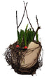 Screenshot_20220127-131406_Gallery-1