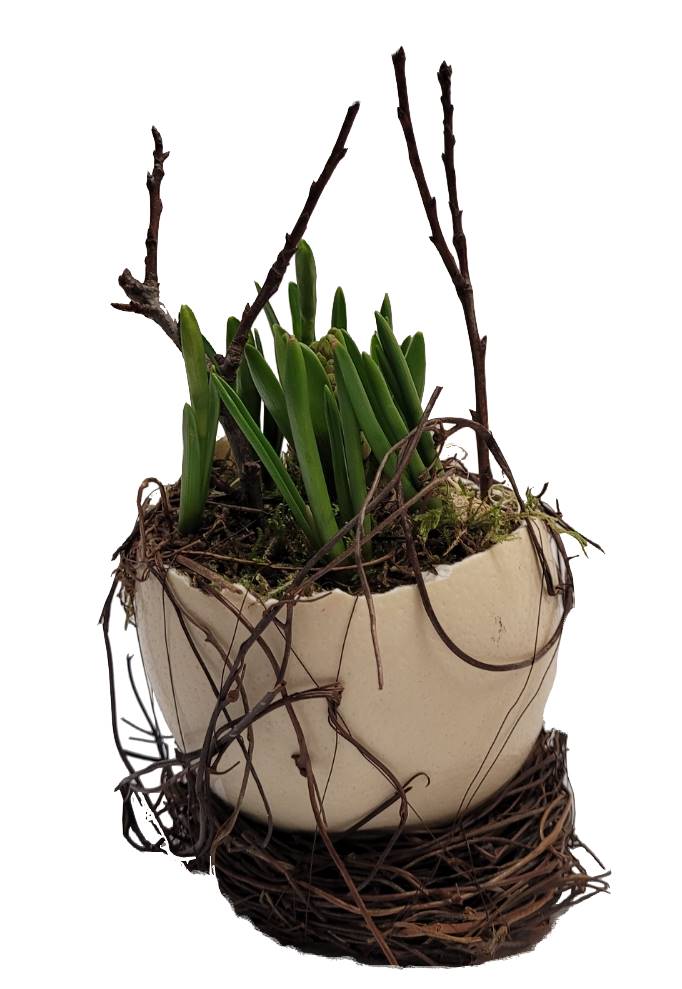 Screenshot_20220127-131430_Gallery-1