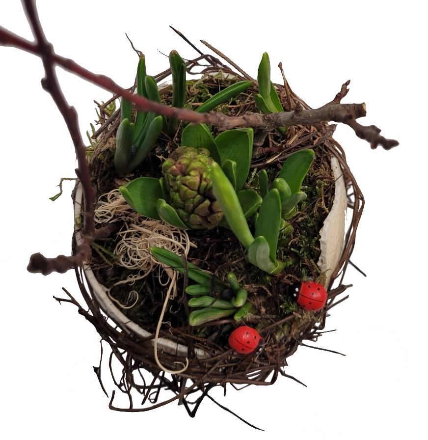 Screenshot_20220127-131439_Gallery-1