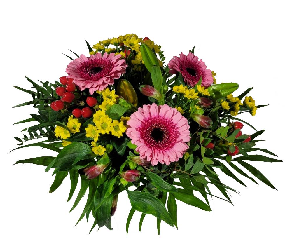 Screenshot_20220129-130255_Gallery-1