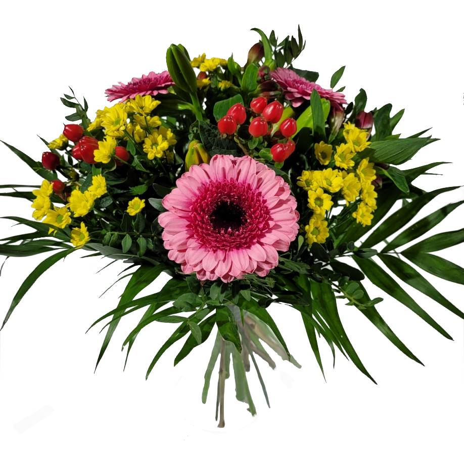 Screenshot_20220129-130433_Gallery-1