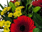 Screenshot_20220129-130500_Gallery-1-1