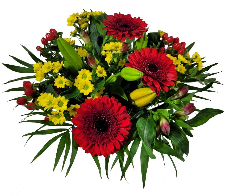 Screenshot_20220129-130614_Gallery-1