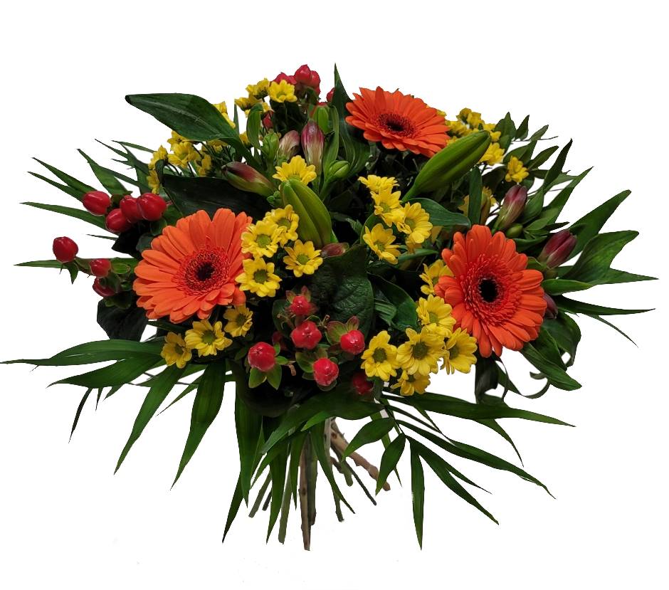 Screenshot_20220129-130653_Gallery-1