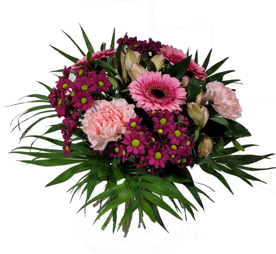 Screenshot_20220130-140016_Gallery-1