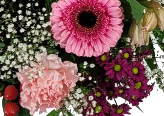 Screenshot_20220130-140344_Gallery-1-1