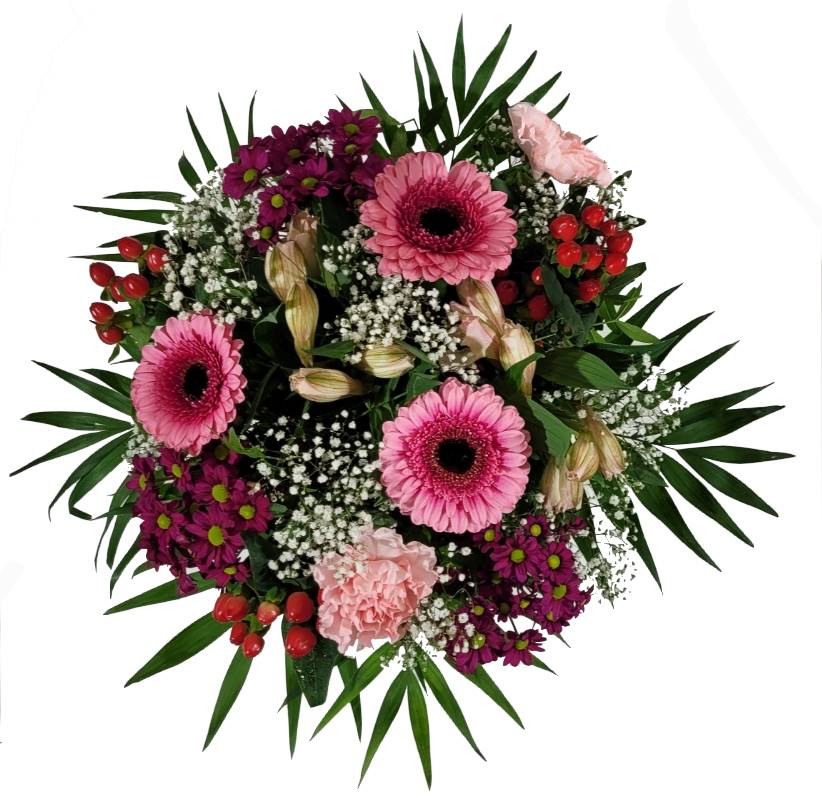 Screenshot_20220130-140344_Gallery-1