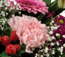 Screenshot_2022021118-114717_Gallery-1