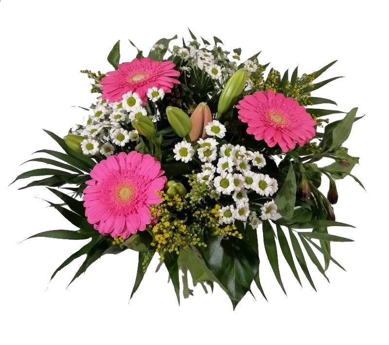 Screenshot_20220218-121627_WhatsApp-1