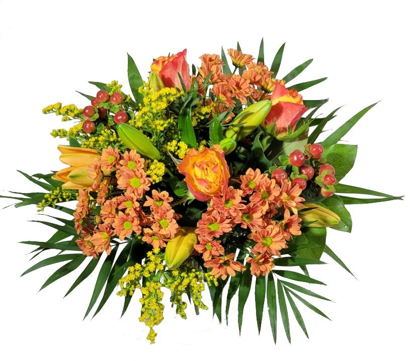 Screenshot_20220218-1226512_Gallery-1