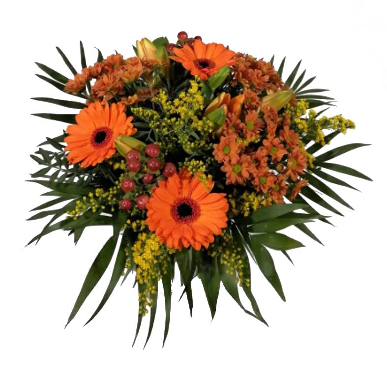 Screenshot_20220219-064017_WhatsApp-1