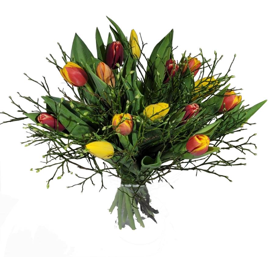 Screenshot_20220315-095008_Gallery-1