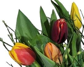 Screenshot_20220315-0950391_Gallery-1