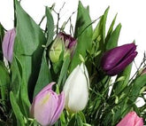 Screenshot_20220315-0952112_Gallery-1