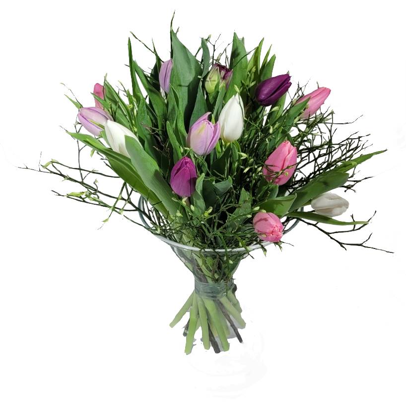 Screenshot_20220315-095212_Gallery-1