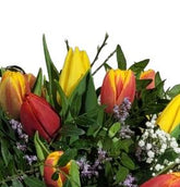 Screenshot_20220315-0953151_Gallery-1