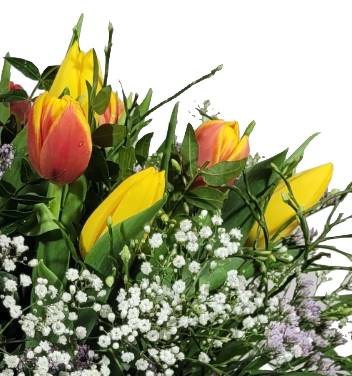 Screenshot_20220315-095406_1Gallery-1