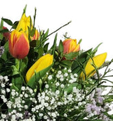 Screenshot_20220315-095406_1Gallery-1