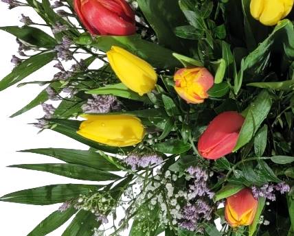 Screenshot_20220315-09551112_Gallery-1