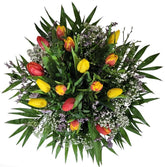 Screenshot_20220315-095512_Gallery-1