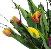 Screenshot_20220315-095532111_Gallery-1