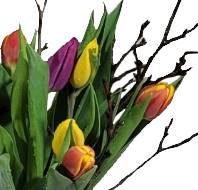 Screenshot_20220315-0955321_Gallery-1