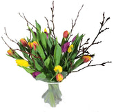 Screenshot_20220315-095548_Gallery-1