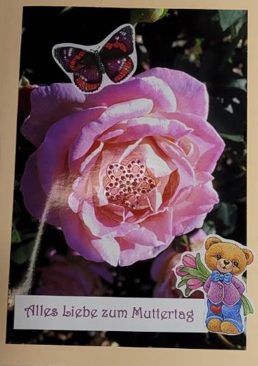 Screenshot_20220426-111954_Gallery-1