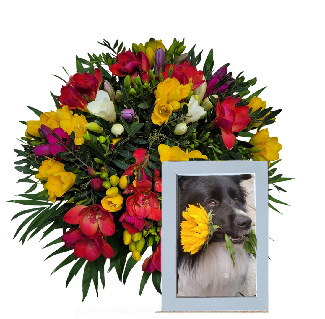 Screenshot_20250520_161418_y-1-Kopie