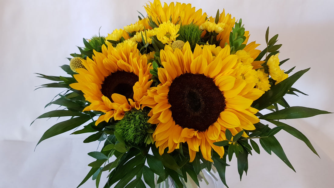 Sonnenblumen im Strauß; unser Sonnengelb besteht aus wunderschönen Sonnenblumen auch außerhalb Ihrer eigentlichen  Saisong